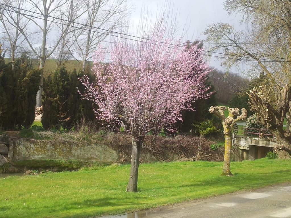 Chambre D'Hotes Le Moulin D'Encor Seysses-Saves ภายนอก รูปภาพ