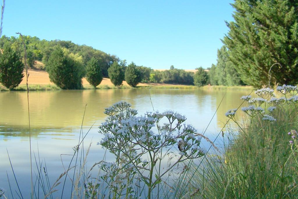 Chambre D'Hotes Le Moulin D'Encor Seysses-Saves ภายนอก รูปภาพ